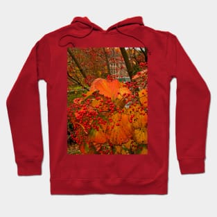 Fall at Winterthur Hoodie